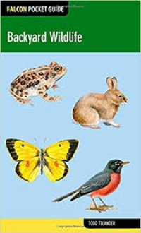 Image of Falcon Pocket Guide : Backyard Wildlife